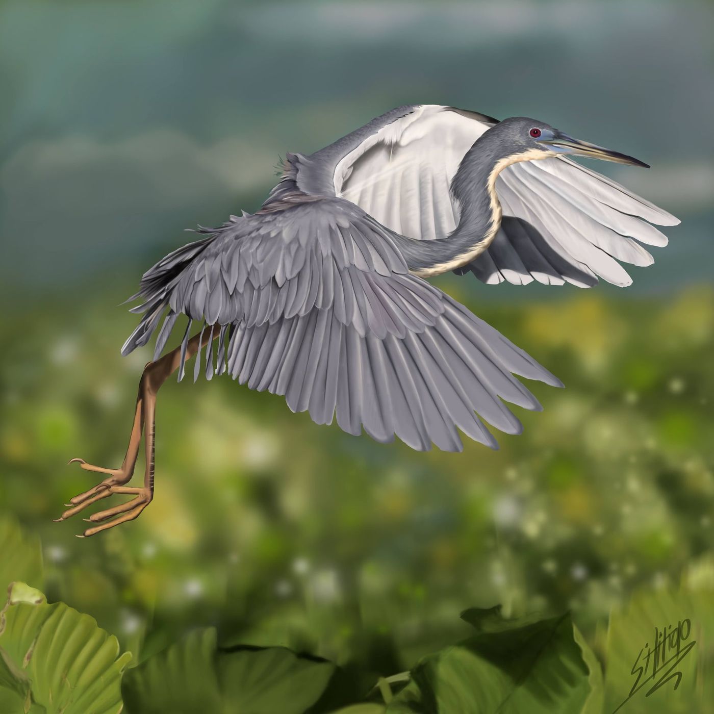 Digital wildlife and environment painting