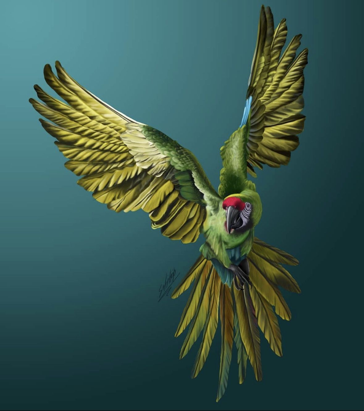 Digital wildlife and environment painting